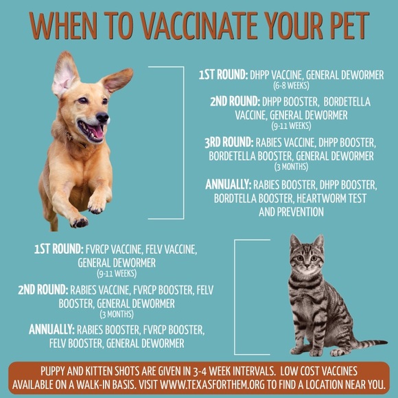 Hoop earring cubic zirconia Diamond like 34 stones in a pair 1 inch - Picture 8 of 9